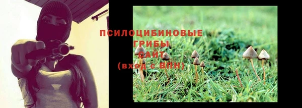 mdpv Новозыбков
