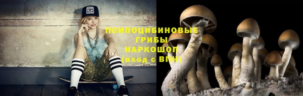 спайс Абаза