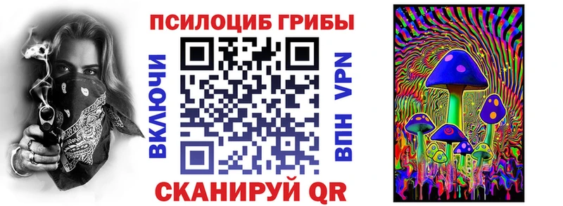 где можно купить Александровск-Сахалинский Псилоцибиновые грибы мицелий